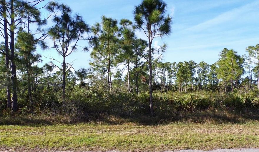 Fantastic Opportunity to build your dream home or investment property in the heart of Port Charlotte, Florida West Area. Located in a peaceful residential neighborhood, this parcel is ideal for those seeking a tranquil setting with convenient access to modern amenities.  Located mere minutes from the breathtaking Myakka River, this property offers the perfect blend of coastal living and easy access to nearby amenities. With the beach just a stone's throw away, you can indulge in sun-soaked days, picturesque walks along the shoreline, and refreshing dips in the crystal-clear waters.  Ask us about our Builder's Partners.  Water, Electric and Cable Available