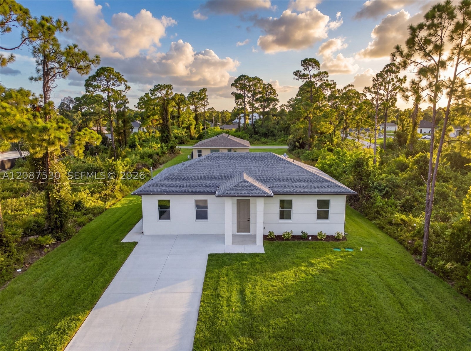 308 Mangonia