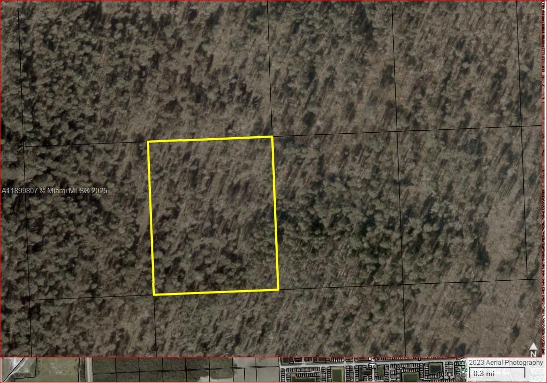 MIAMI EVERGLADE LAND COMP - Land