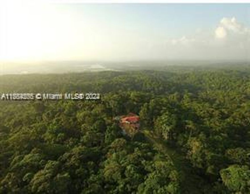 AMAZING PRIMARY TROPICAL FOREST WITH 144 HA (316.8 acres). WITH A WATERHOLE AND SEVERAL POOLS OF SPRING WATER. EXCELLENT LOCATION, ABOUT 30 MINUTES FROM COLON'S CRUISE PORT AT THE NORTH ENTRANCE OF THE PANAMA CANAL. THIS PARADISE LAND IS IDEAL FOR DEVELOPING AN ECOLOGICAL NATURAL WATER PARK, TOURIST DESTINY. WITH AN INVENTORY OF MORE THAN 160 SPECIES OF BIRDS AND MORE THAN 15 YEARS OF LIFE OF WILD ANIMALS, FLORA AND FAUNA. EXCELLENT FOR THE JUNGLE INVESTOR AND NATURE LOVER. THIS PROPERTY WAS OPERATED AS AN ECO-LODGE FOR ABOUT 15 YEARS WITH EMPHASIS IN BIRD WATCHING. COME AND BUY THIS GREAT OPPORTUNITY!!
