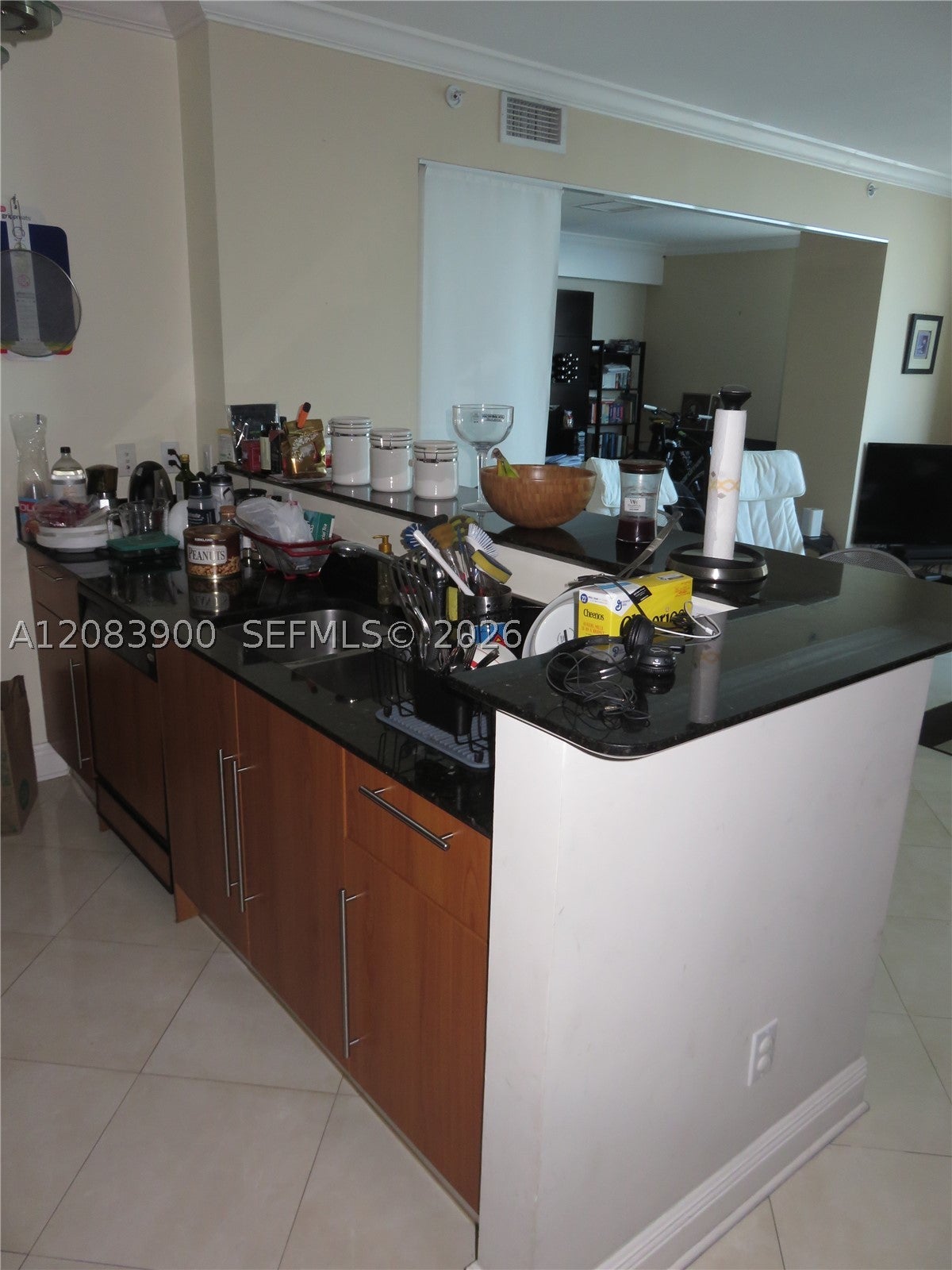 335 S Biscayne Blvd 1508