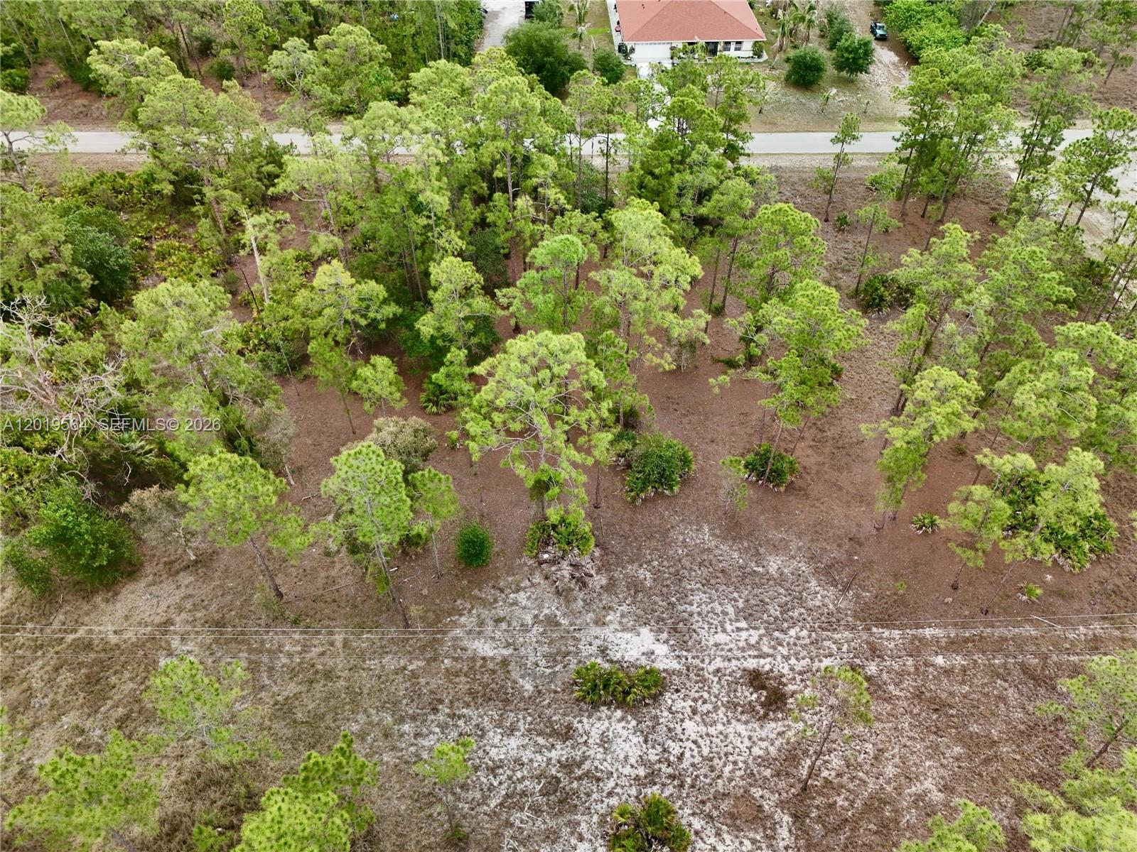 LEHIGH ACRES - Land