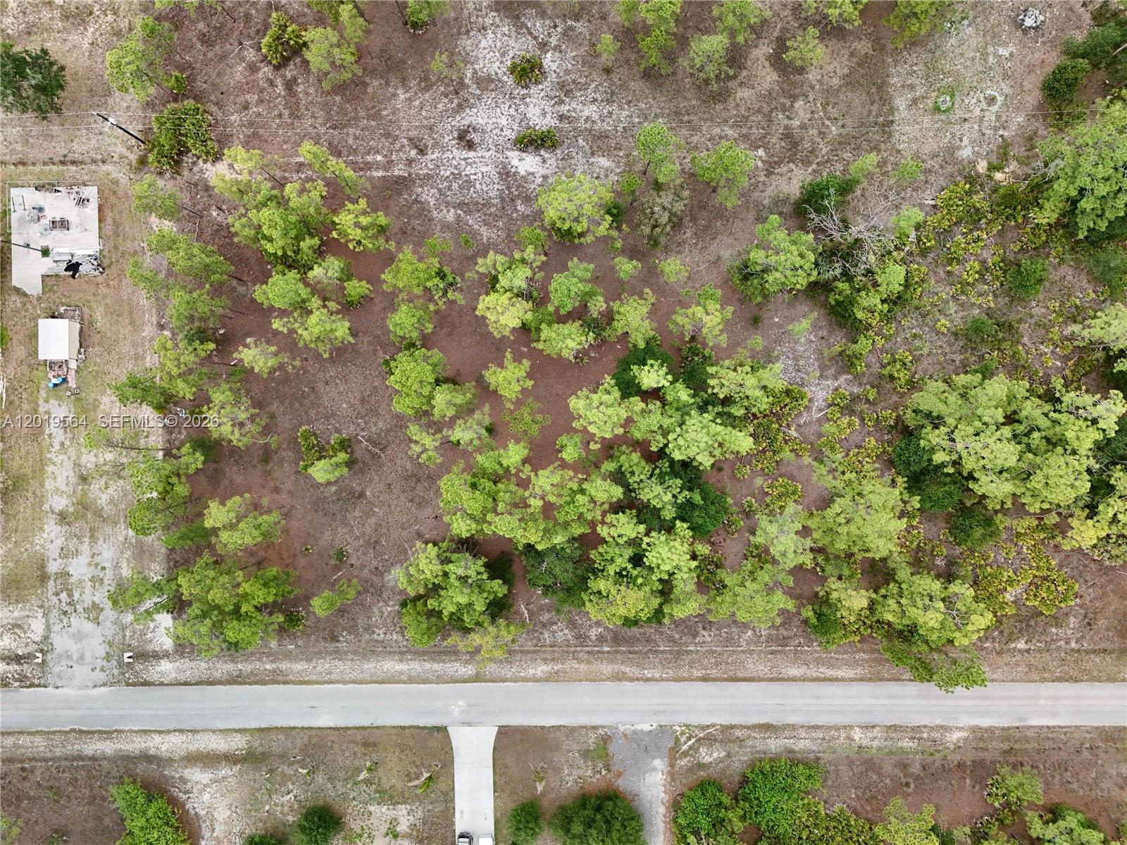 LEHIGH ACRES - Land