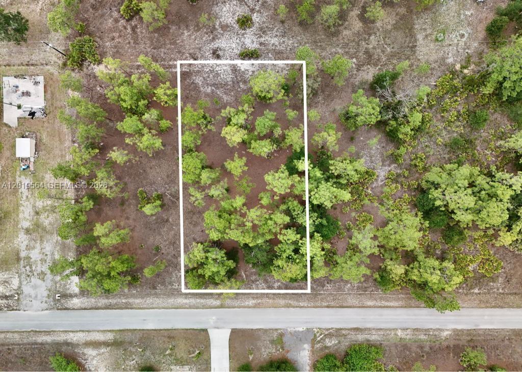 LEHIGH ACRES - Land