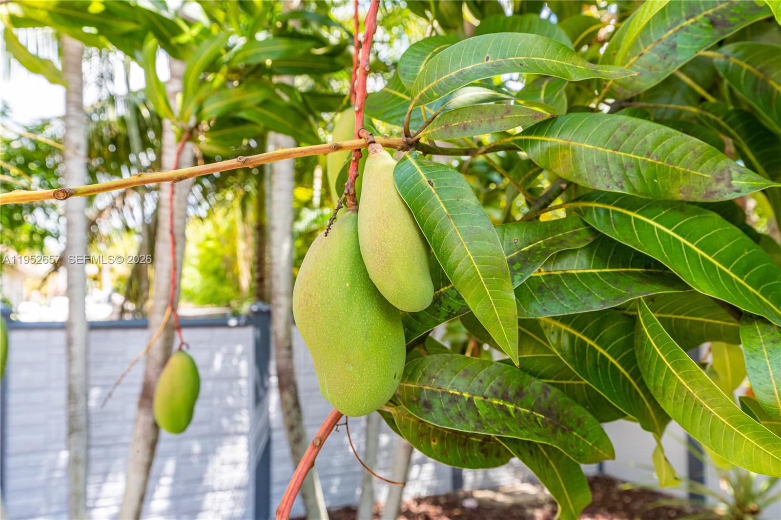 ESTATE MANSIONS - Residential