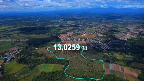 Mature Teak Plantation San Pablo Viejo, Chiriqui, Panama   
