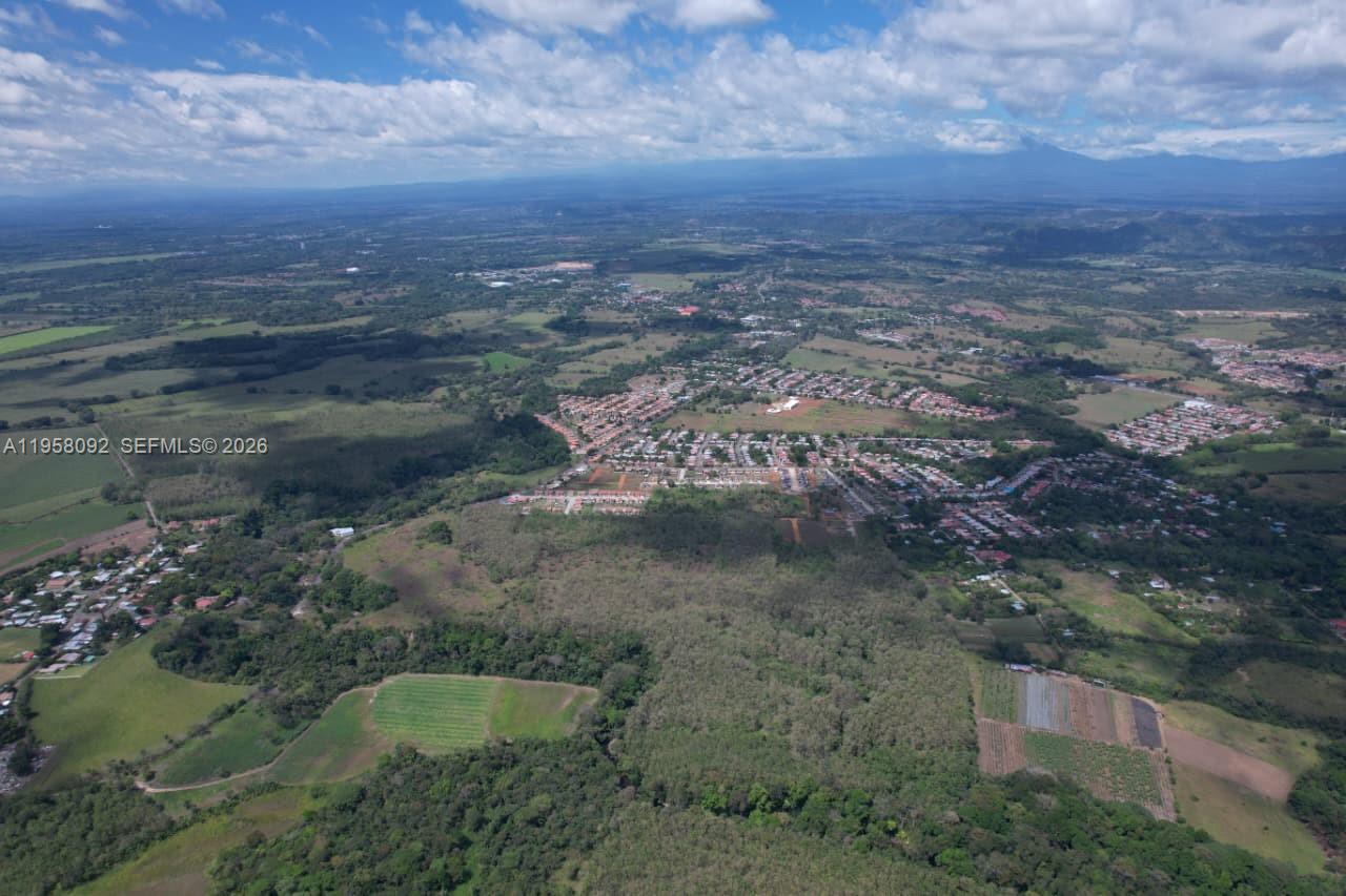 Mature Teak Plantation San Pablo Viejo, Chiriqui, Panama