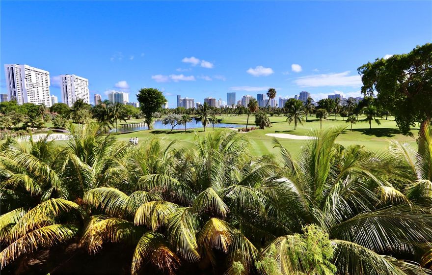 EXPERIENCE BREATHTAKING GOLF COURSE VIEWS FROM THIS STUNNINGLY RENOVATED MODERN  & SPACIOUS 2-BEDROOM, 2 BATH SPLIT FLOOR PLAN RESIDENCE IN A DESIRABLE HIGH-RISE COMMUNITY IN THE HEART OF AVENTURA, FL.  THE COMMUNITY FEATURES A BEAUTIFUL HEATED POOL AREA WITH CABANAS, BILLIARD & PING PONG AREA, FITNESS CENTER & 24-HOUR SECURITY WITH GUARDED GATE. THE LOBBY HAS RECENTLY BEEN RENOVATED WITH MODERN TOUCHES! STEP OUTSIDE & WALK TO AVENTURA MALL, HOUSES OF WORSHIP, SUPERMARKETS & TOP RESTAURANTS.  JUST MINUTES TO TOP-RATED SCHOOLS, BEAUTIFUL BEACHES, FIU, BAL HARBOUR SHOPS, HARD ROCK STADIUM & MAJOR HIGHWAYS. THE PERFECT BLEND OF LUXURY, LOCATION & LIFESTYLE!
