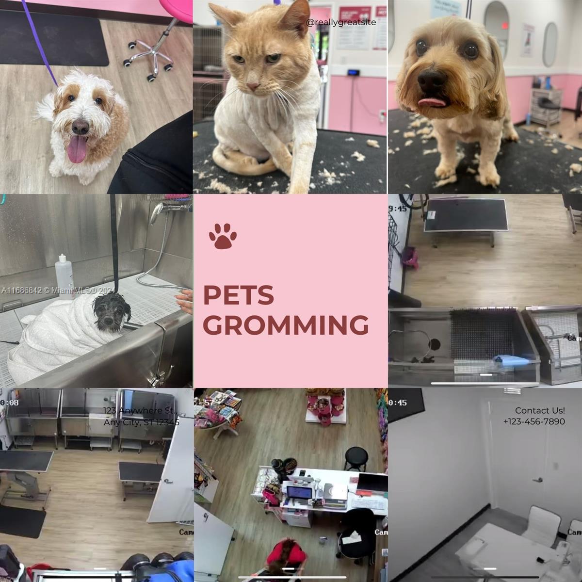 Grooming business, healthy food and accessories, for Dogs and Cats. With high growth potential and high target location. You qualify for E2 Visa as a going concern.