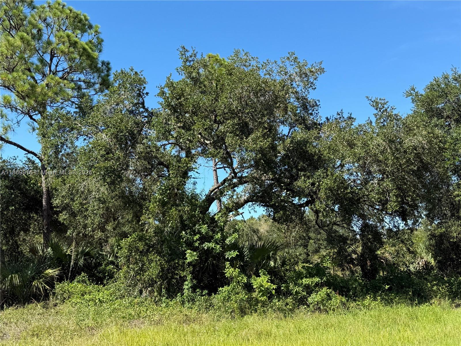 1.25 ACRES GREAT LOCATION AT A MAIN PAVED ROAD IN THE NORTH OF MONTURA RANCH ESTATES, SEMI-CLEARED, HIGH AND DRY LOT!!
PRICE TO SELL FAST!! BEST OPTION IN THE MARKET! NO WETLAND! GREAT INVESTMENT OPPORTUNITY! YOU CAN BUILD YOUR DREAM HOUSE OR INSTALL YOUR MOBILE HOME ENDLESS POSSIBILITIES!!!
YOU CAN HAVE YOUR WEEKEND GETAWAY FROM THE CITY, JUST 65 MILES FROM WESTON, 90 MILES FROM MIAMI, YOU CAN HAVE YOUR FARM ANIMALS AND ENJOY THE CAMP STYLE OF MONTURA RANCH ESTATE YOU CAN GO DIRECTLY TO THE PROPERTY AND CALL ME OR TEXT ME IF YOU NEED ANY EXTRA INFORMATION