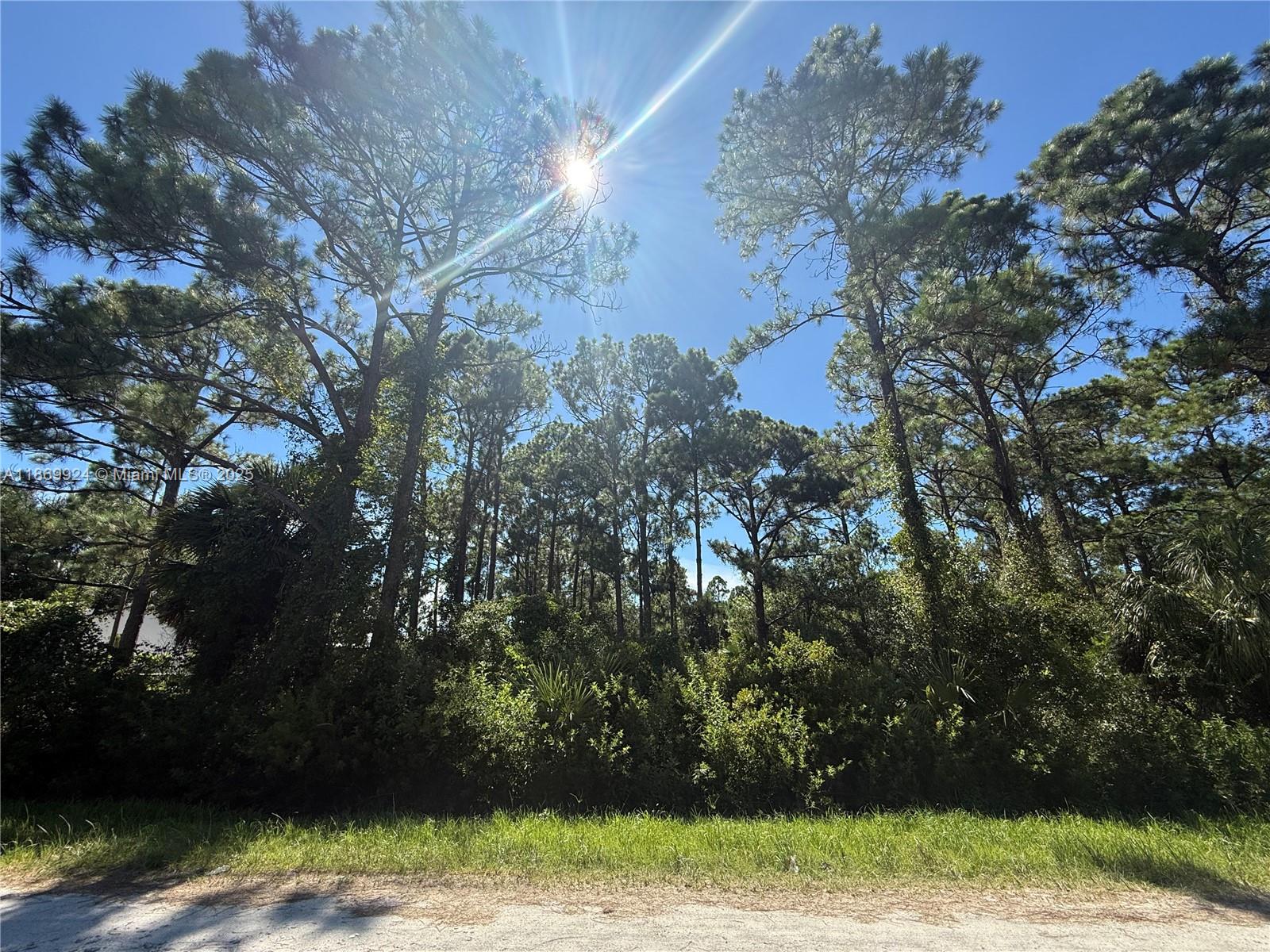 1.25 ACRES GREAT LOCATION AT MONTURA RANCH ESTATES, HIGH AND DRY LOT!! PRICE TO SELL FAST!! BEST OPTION IN THE MARKET! NO WETLAND! GREAT INVESTMENT OPPORTUNITY! YOU CAN BUILD YOUR DREAM HOUSE OR INSTALL YOUR MOBILE HOME ENDLESS POSSIBILITIES!!! YOU CAN HAVE YOUR WEEKEND GETAWAY FROM THE CITY, JUST 65 MILES FROM WESTON, 90 MILES FROM MIAMI, YOU CAN HAVE YOUR FARM ANIMALS AND ENJOY THE CAMP STYLE OF MONTURA RANCH ESTATE YOU CAN GO DIRECTLY TO THE PROPERTY AND CALL ME OR TEXT ME IF YOU NEED ANY EXTRA INFORMATION