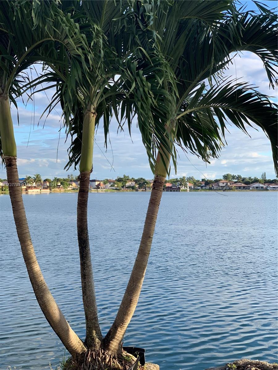 Puerto Bello - Residential