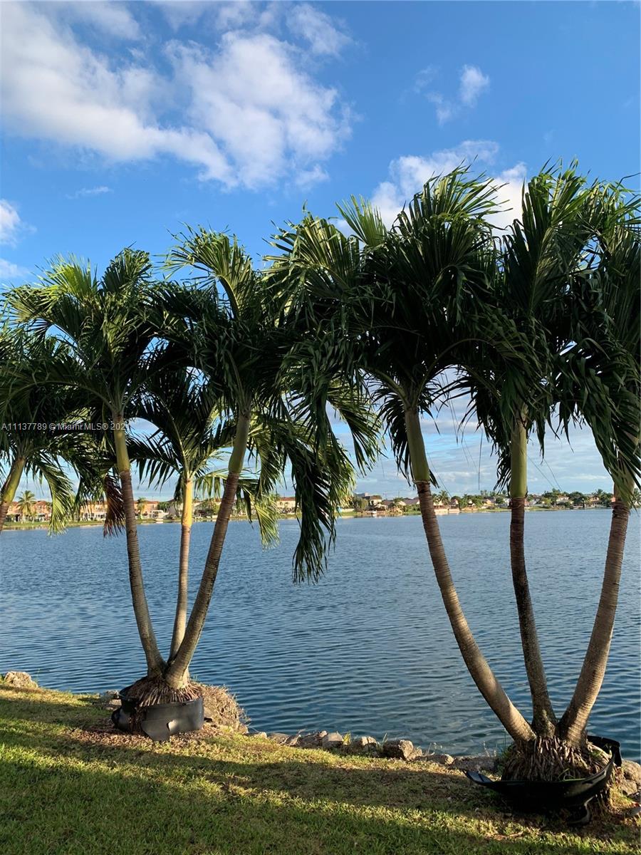 Puerto Bello - Residential