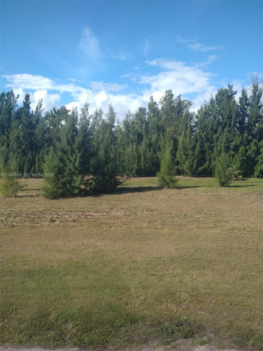 PASADENA GARDEN APARTMENT - Residential