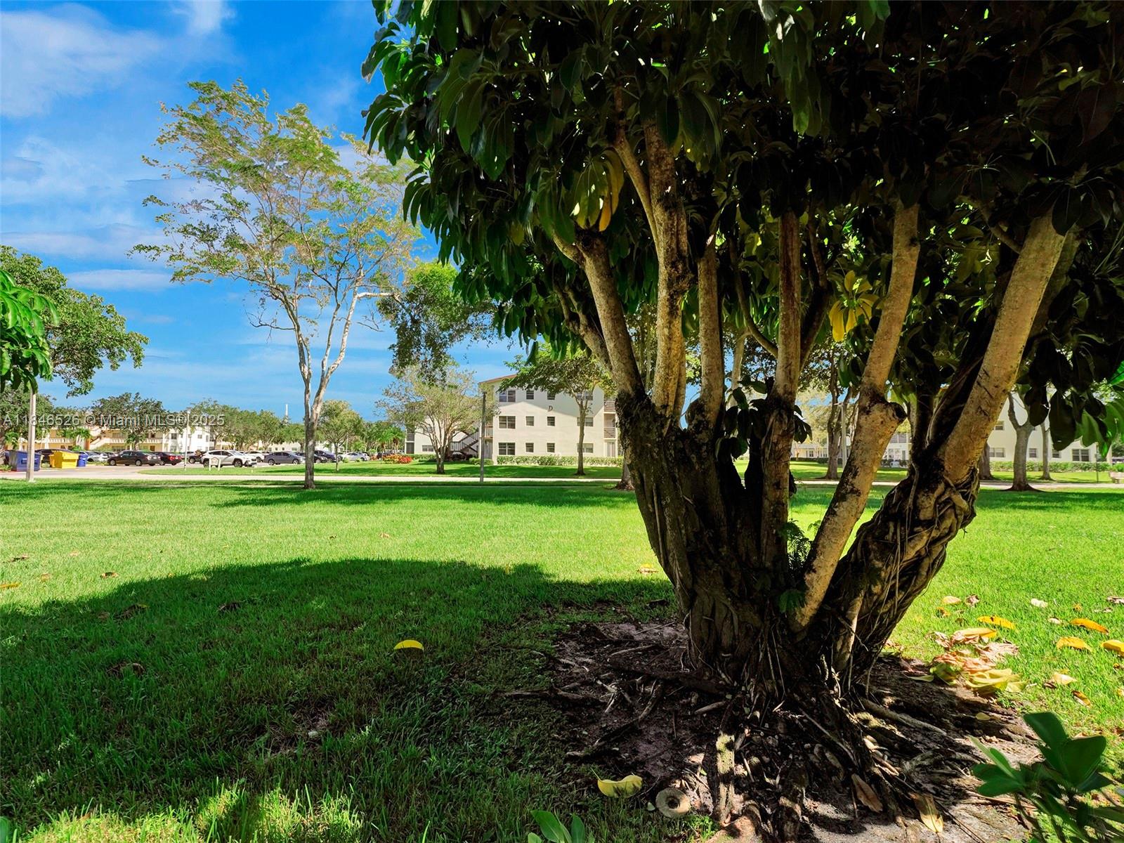 MANSFIELD AT CENTURY VILL - Residential