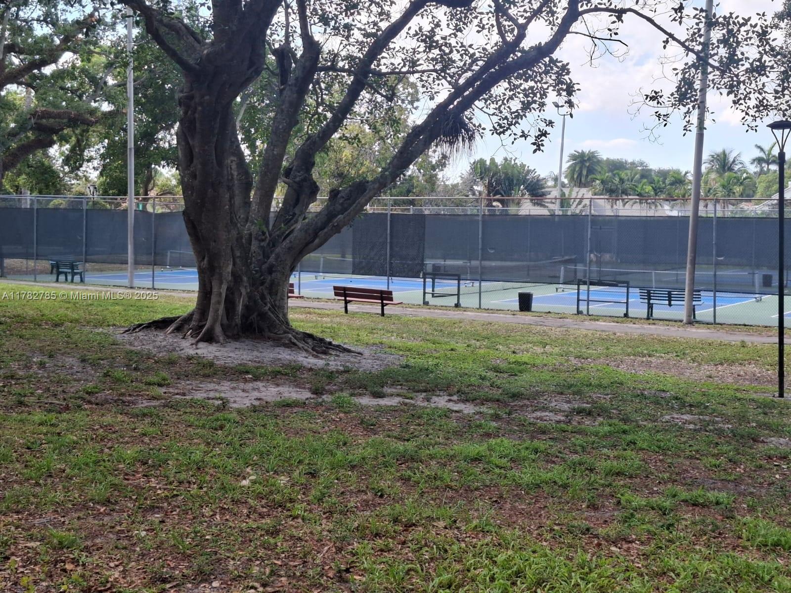 POINCIANA 3 OF PINE ISLAN - Residential Lease