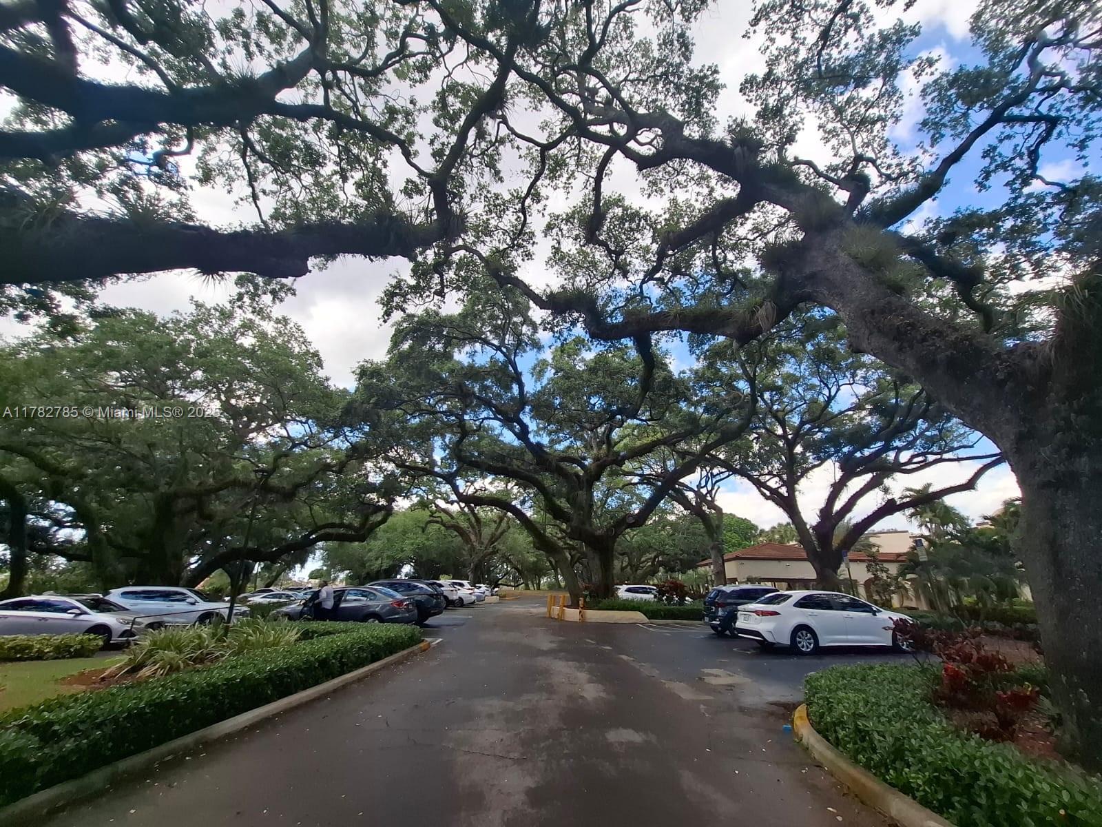 POINCIANA 3 OF PINE ISLAN - Residential Lease