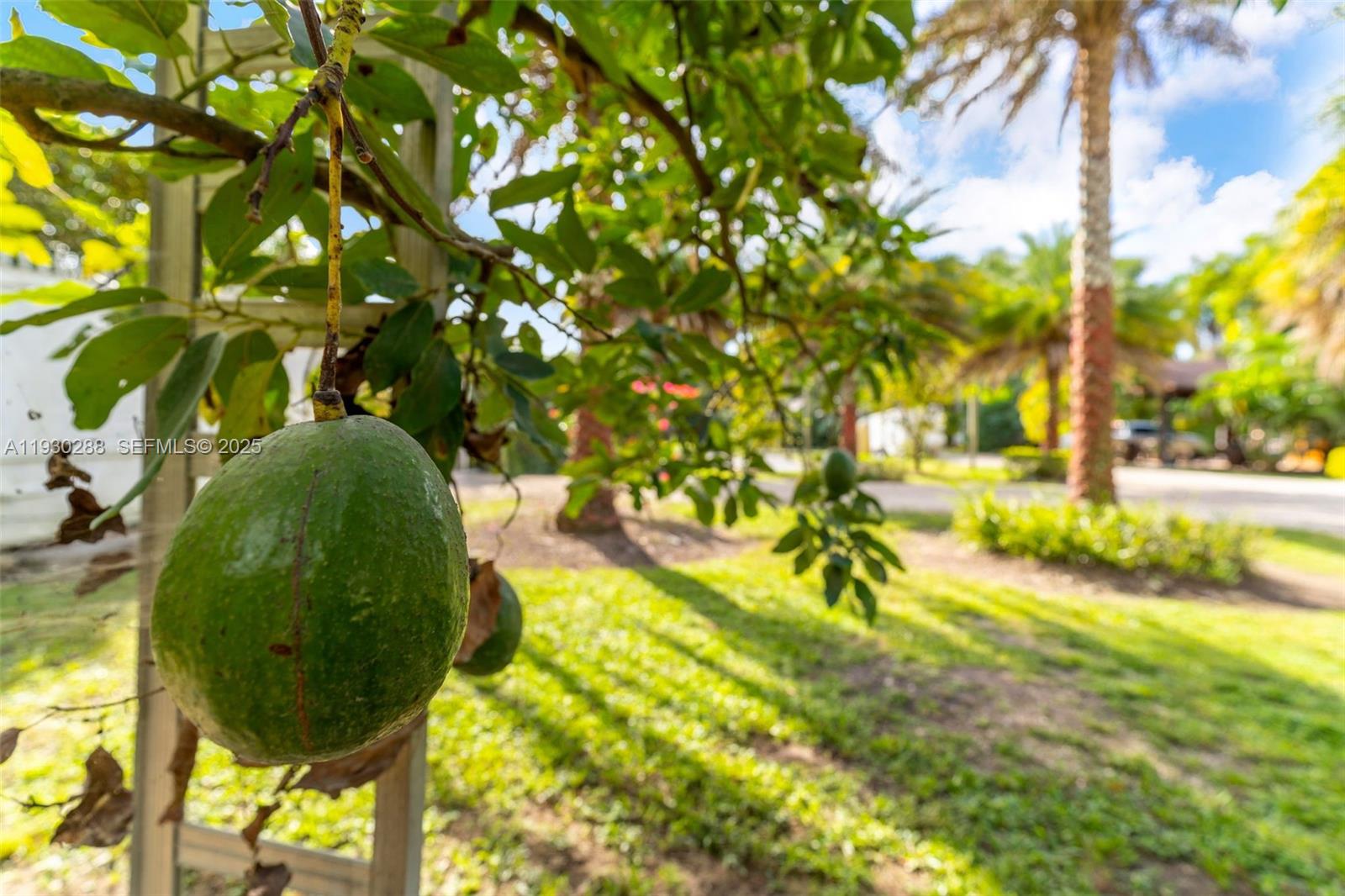 N/A - Residential Income