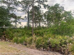 LEISURE LAKES S - Land