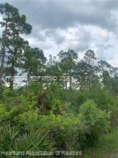 LEISURE LAKES S - Land