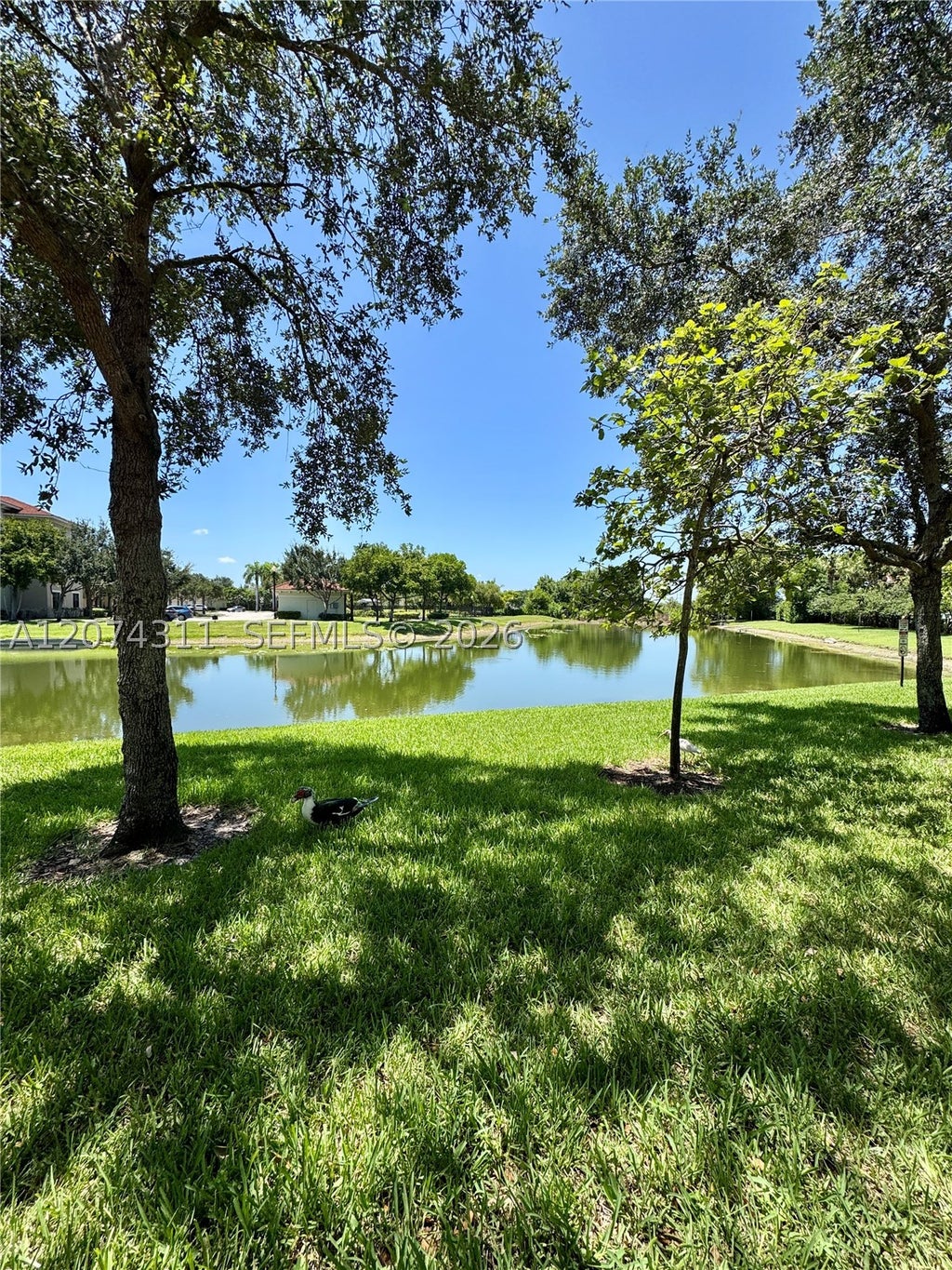 Photo of 3160 NW 127th Ter #3160, Sunrise, FL 33323 (MLS # A12074311)