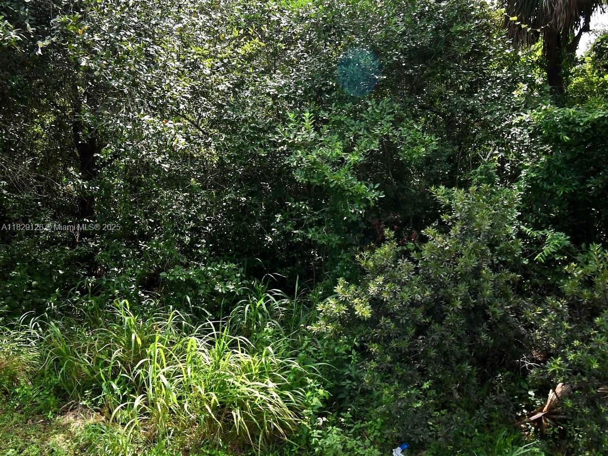 Discover the perfect opportunity to own land in the fast-growing Fort Pierce area! Don't miss this opportunity to secure land in one of Florida’s emerging markets.