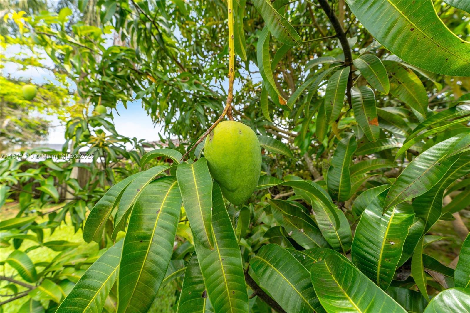 THE CEDARS ESTATES SEC 4 - Residential