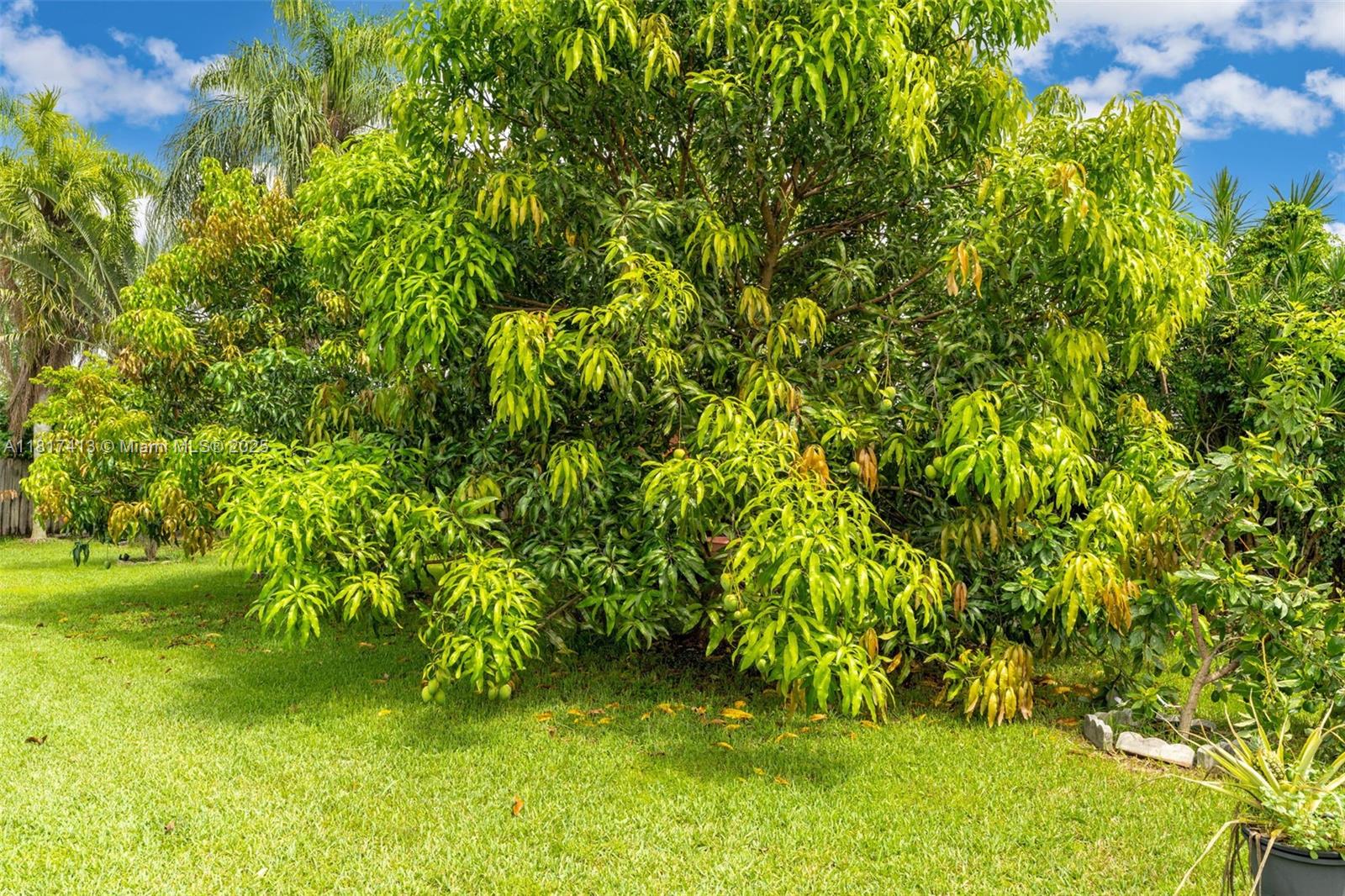 THE CEDARS ESTATES SEC 4 - Residential