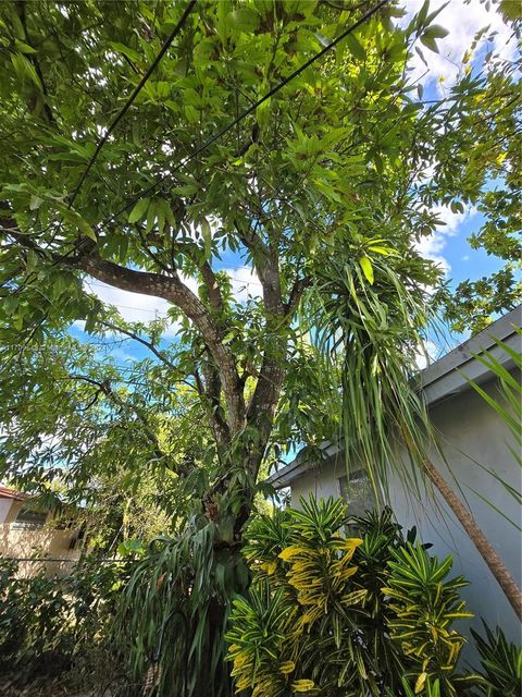 A home in Miami