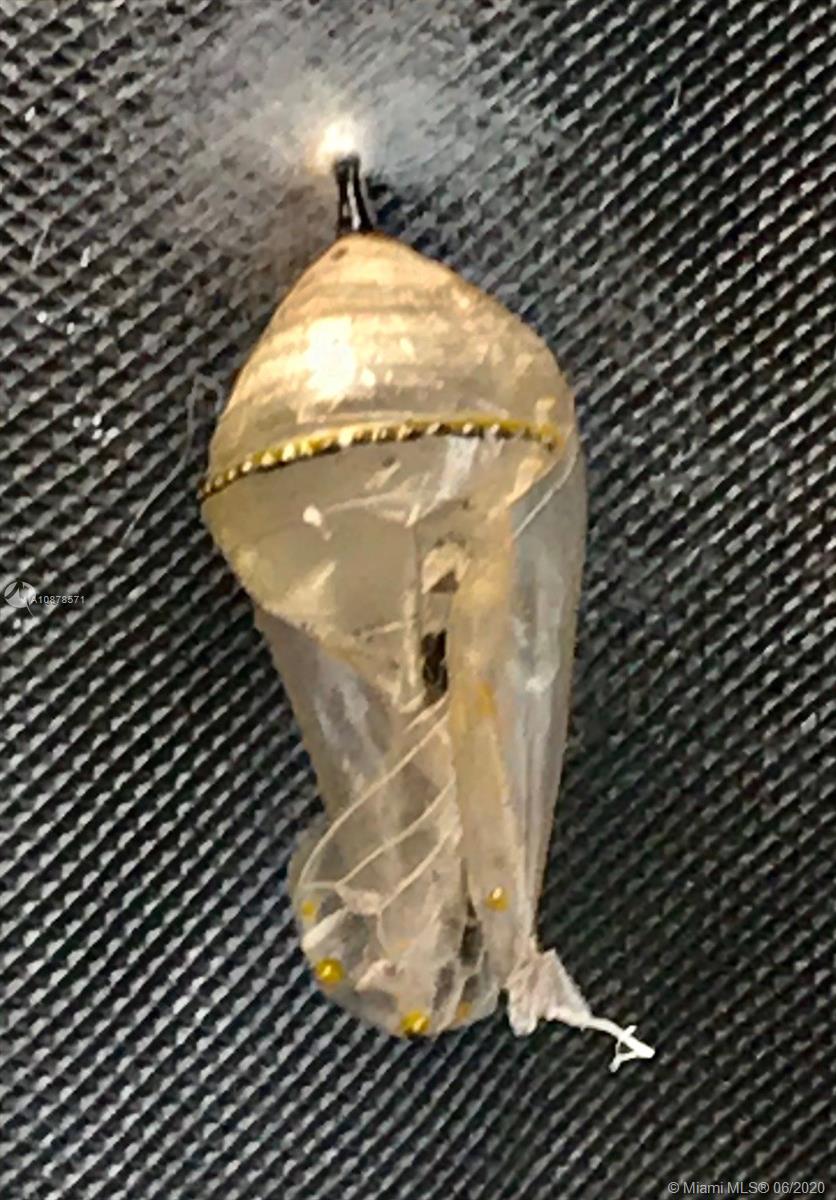 HOLLYWOOD PARK - Residential Lease