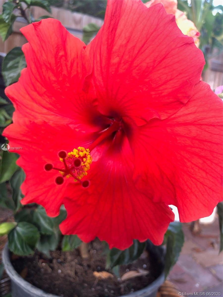 HOLLYWOOD PARK - Residential Lease