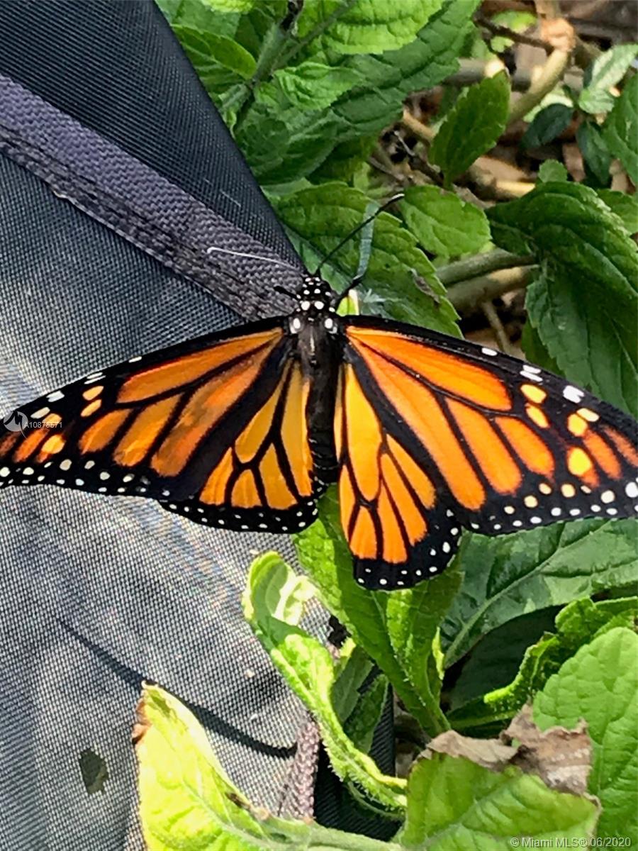 HOLLYWOOD PARK - Residential Lease