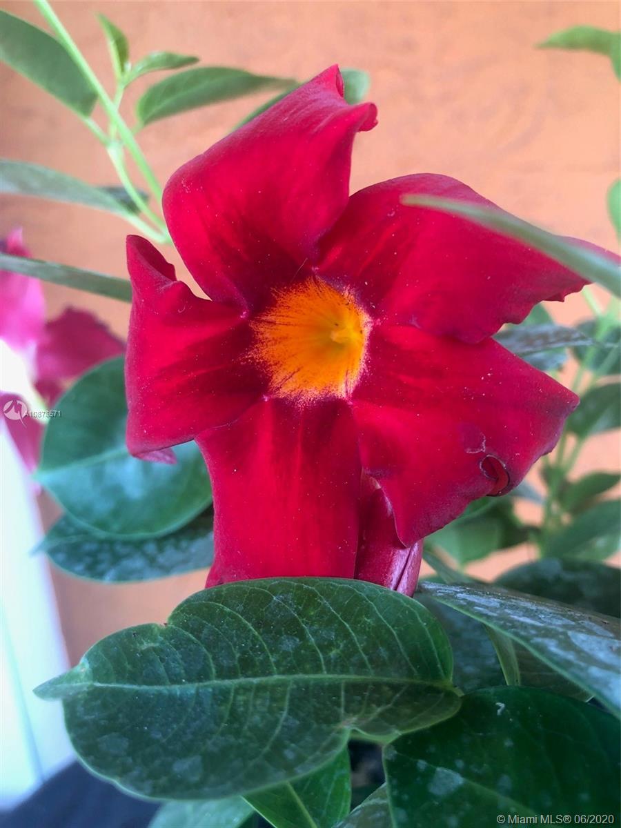 HOLLYWOOD PARK - Residential Lease