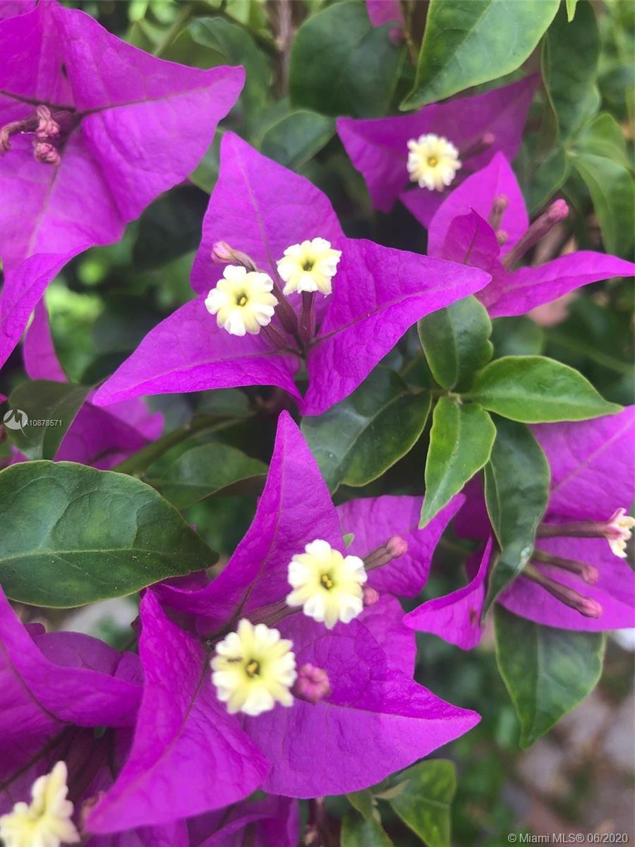 HOLLYWOOD PARK - Residential Lease