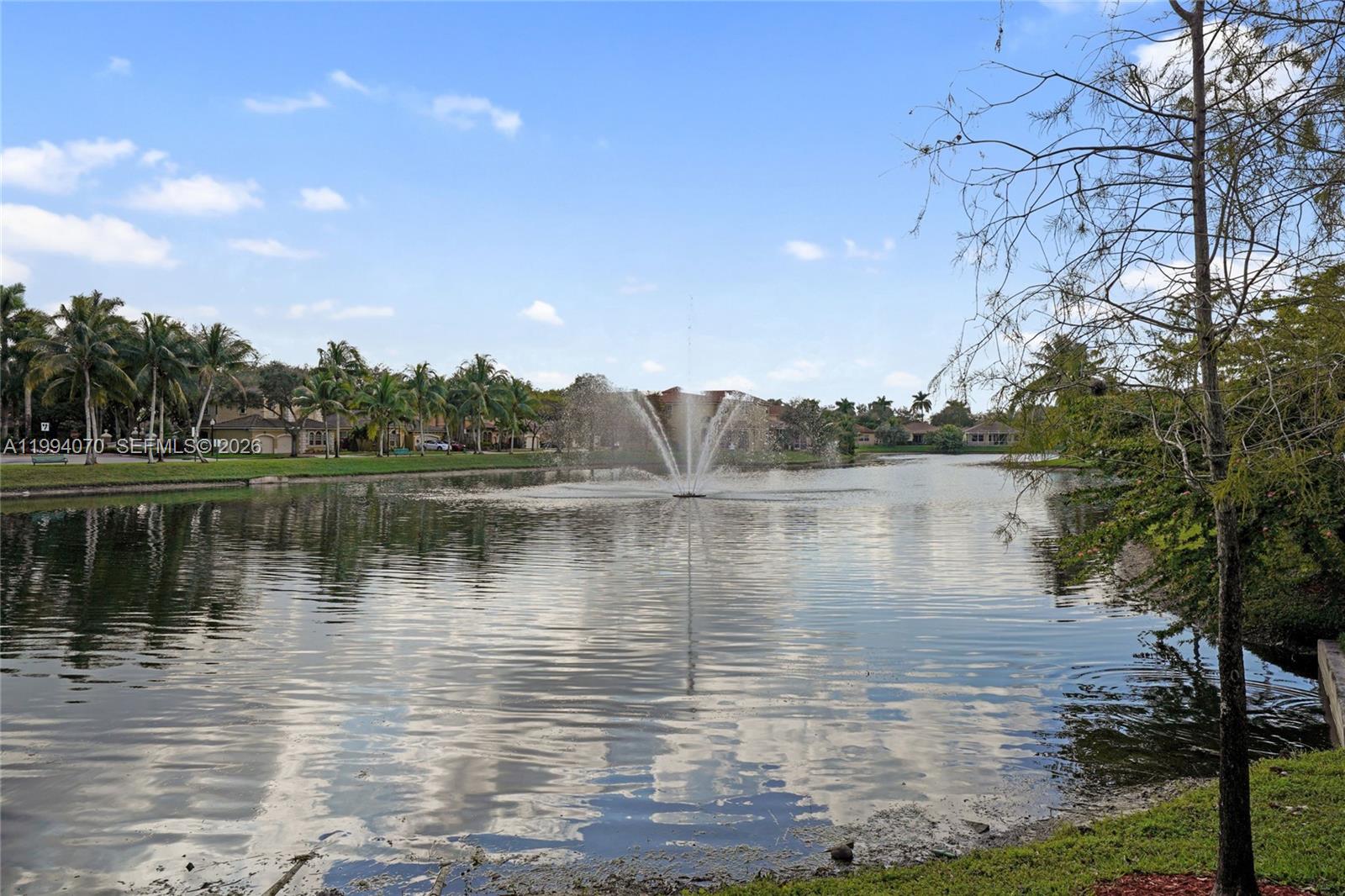 BELLAGIO AT VIZCAYA - Residential