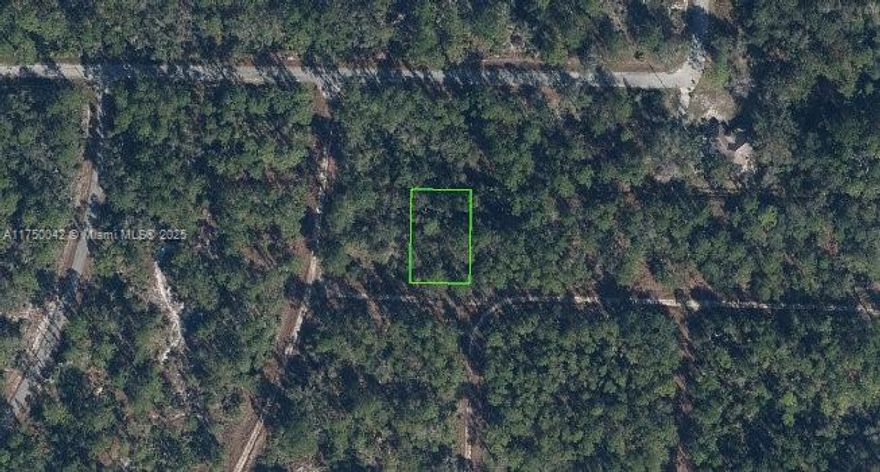Discover this vacant 0.23-acre lot in the desirable Leisure Lakes section of Lake Placid. Ideally situated near lakes, golf courses, trails, and parks, including the renowned Highland Hammock State Park. This lot is perfect for building your dream home or as a smart investment opportunity.

Don't miss out on this incredible chance—contact us today!