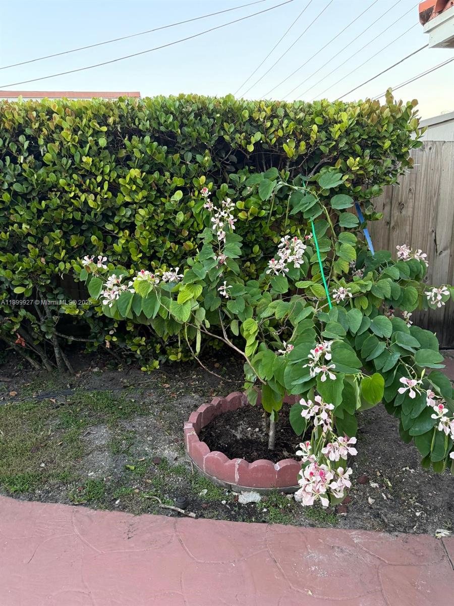 CORAL PARK ESTATES SEC 1 - Residential