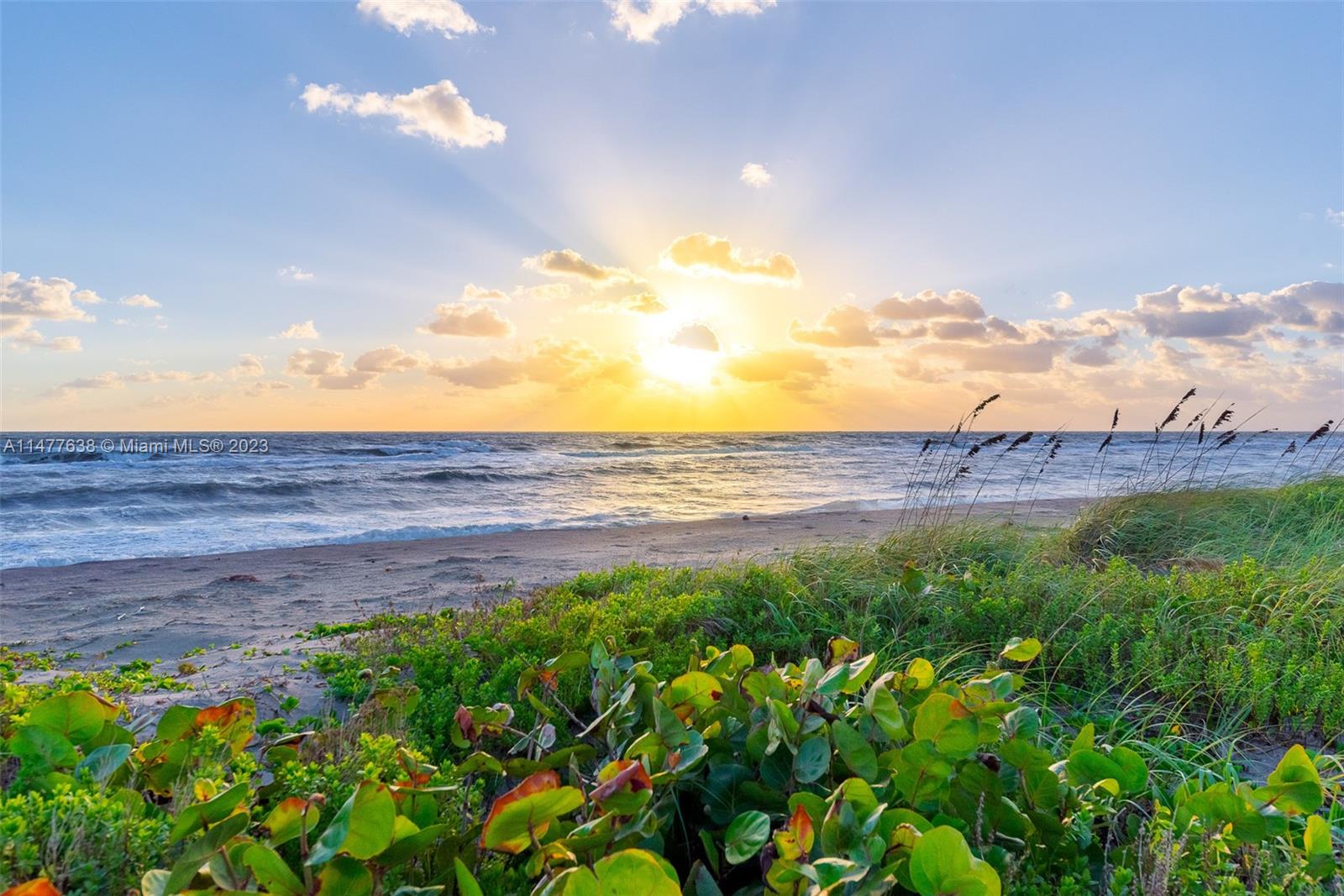 Jupiter Island - Land