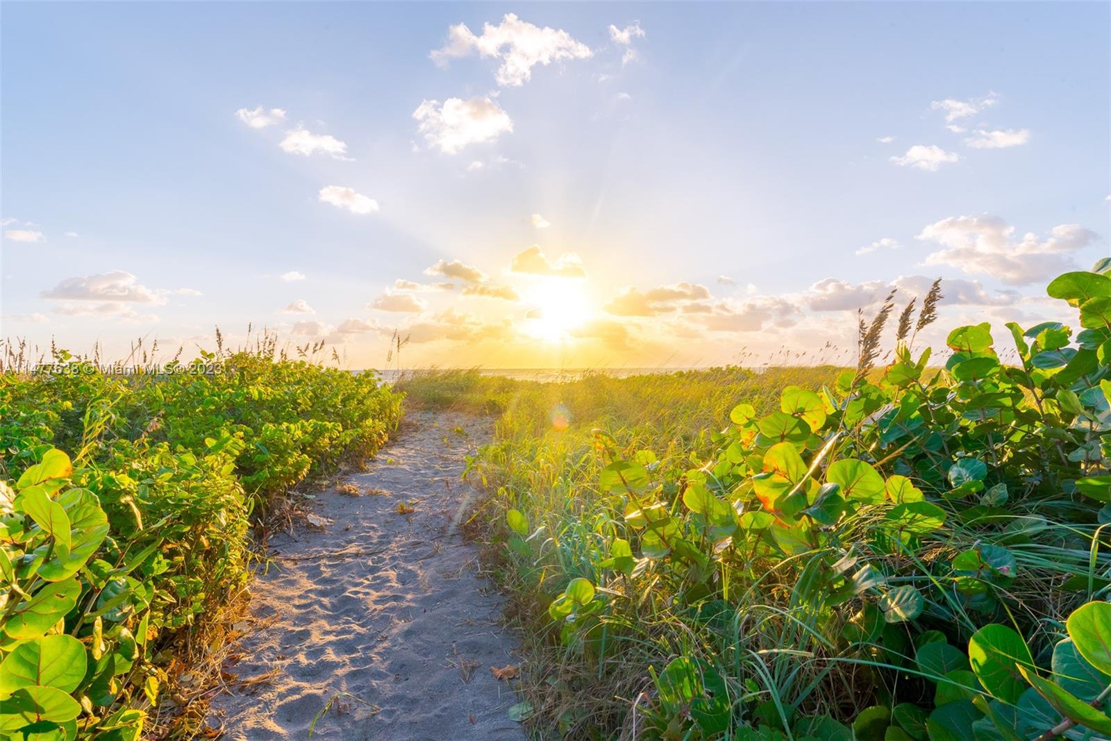 Jupiter Island - Land