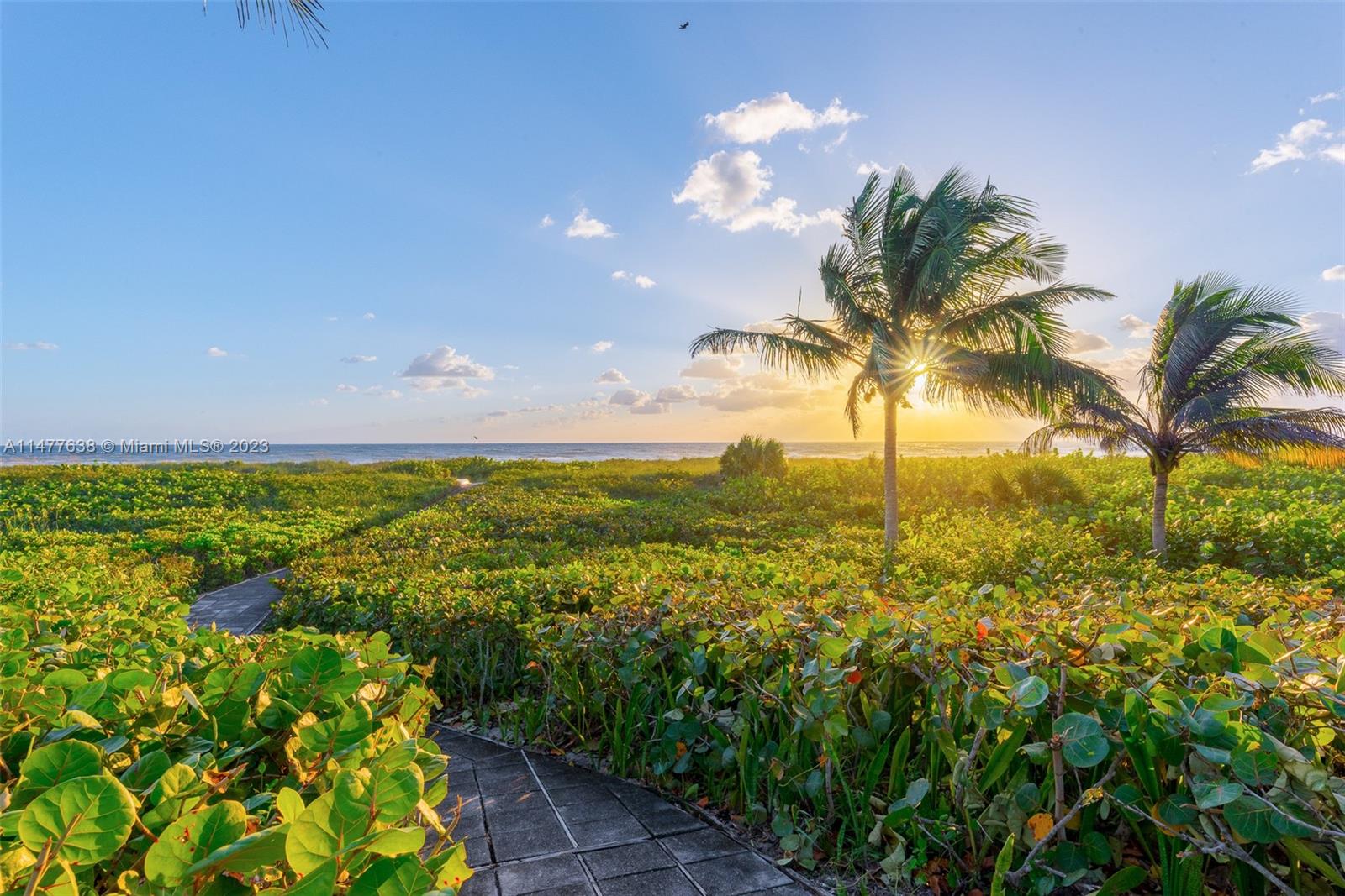 Jupiter Island - Land