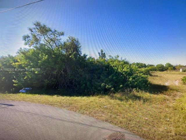Lehigh Acres - Land