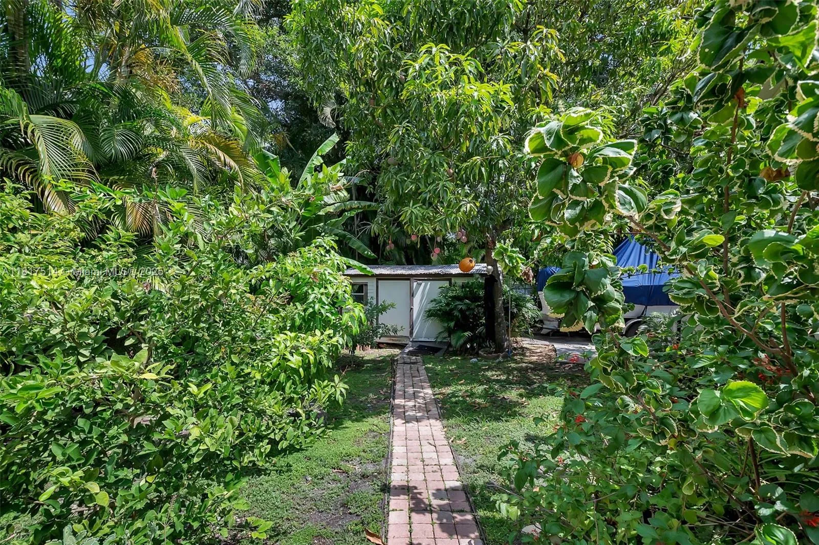 Palmetto Bay, Florida 33157, United States, 4 Bedrooms Bedrooms, ,3 BathroomsBathrooms,Residential,Active,146204