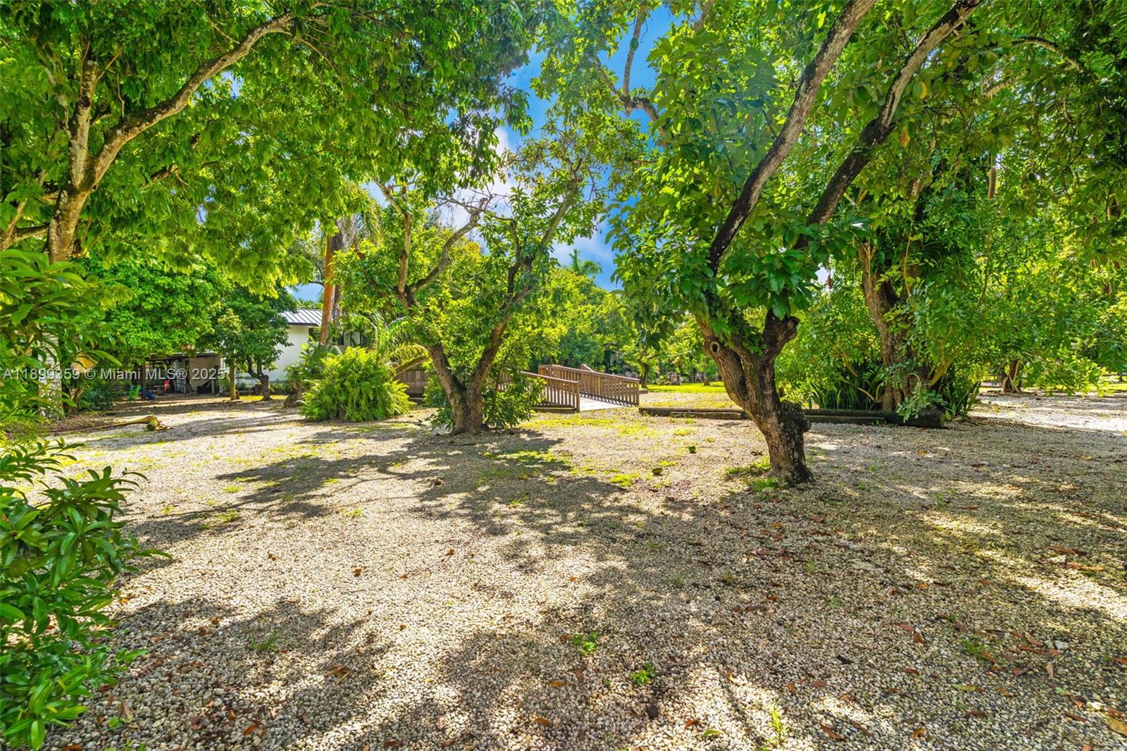 LIM. USE CONVENIENCE STORE - Residential Lease