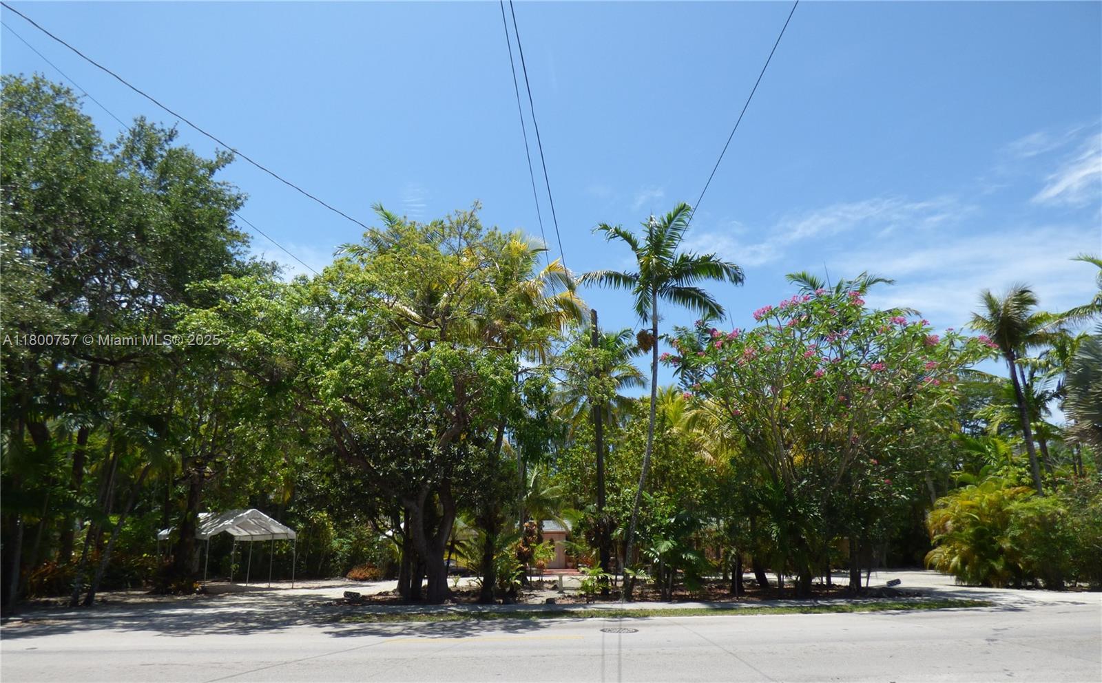 PALM MIAMI HEIGHTS REV - Residential