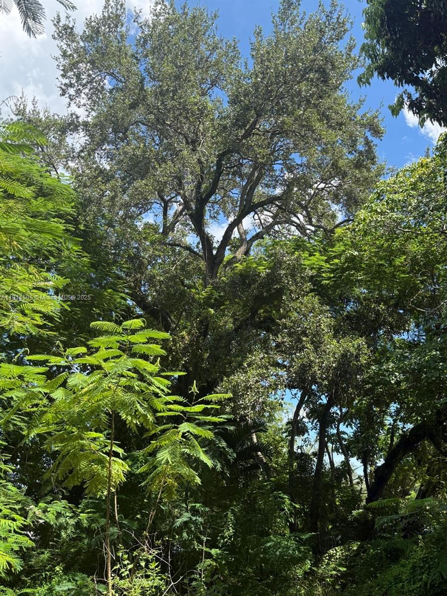 Acreage & Unrec - Land