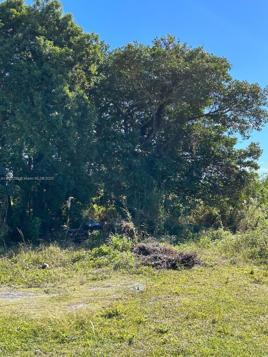 Residential location, for sale lot located in a developing area. It has a project with advanced permitting in the city of Miami. 6 additional lots are also for sale in the area.