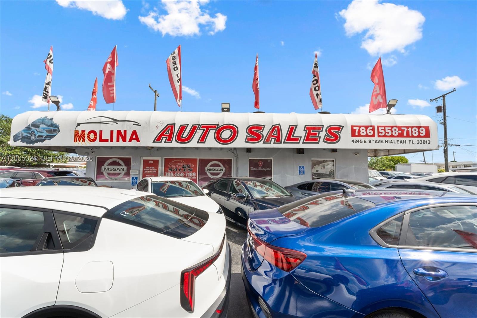 Main image without alt text