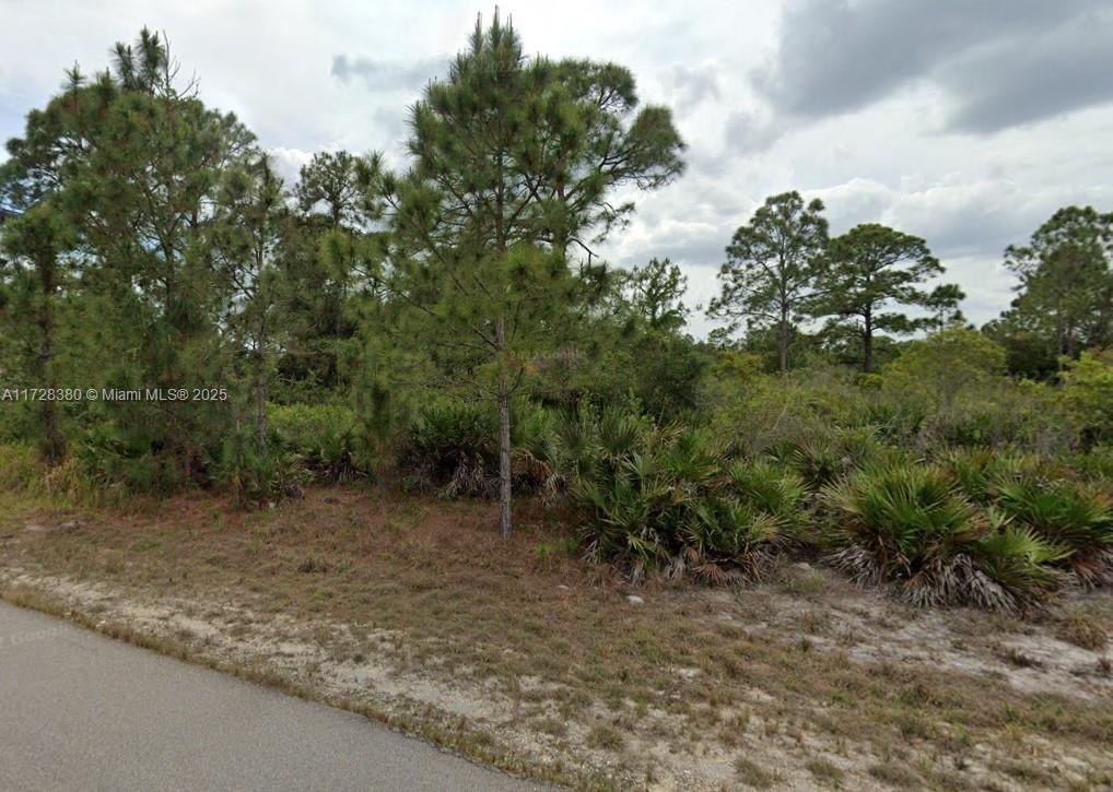 Beautiful .25 Acre land in Lehigh Acres in residential neighborhood. Make this your dream project in this up and coming neighborhood with future growth with nearby schools and shopping plazas. Only 25 minutes from Fort Myers.