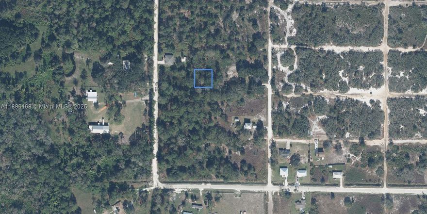 OWNER WILL FINANCE NO CREDIT CHECK NO CREDIT NEEDED. $1,000 DOWN $274.81 PER MONTH FOR 36 MONTHS AT 7% INTEREST. @ 7% INTEREST. High and Dry wooded lot. Beautiful mature oak and pine trees to build around. Huge 100 X 102 SQ FT. lot. Power and utilities on street and ready to build.