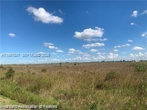 SOUTHERN COLONIZATION COMP - Land